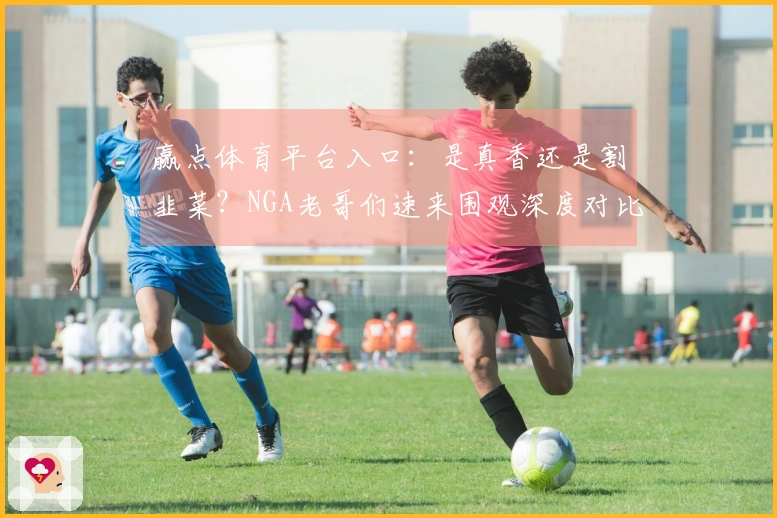 赢点体育平台入口：是真香还是割韭菜？NGA老哥们速来围观深度对比测评！